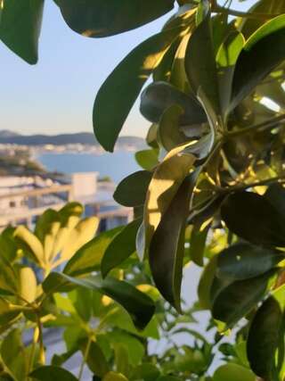 Гостевой дом Apartmani Desančić Бар Люкс с террасой-43