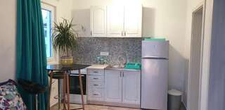 Гостевой дом Apartmani Desančić Бар Люкс с террасой-70