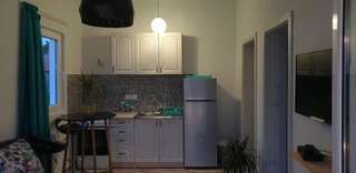 Гостевой дом Apartmani Desančić Бар Люкс с террасой-72